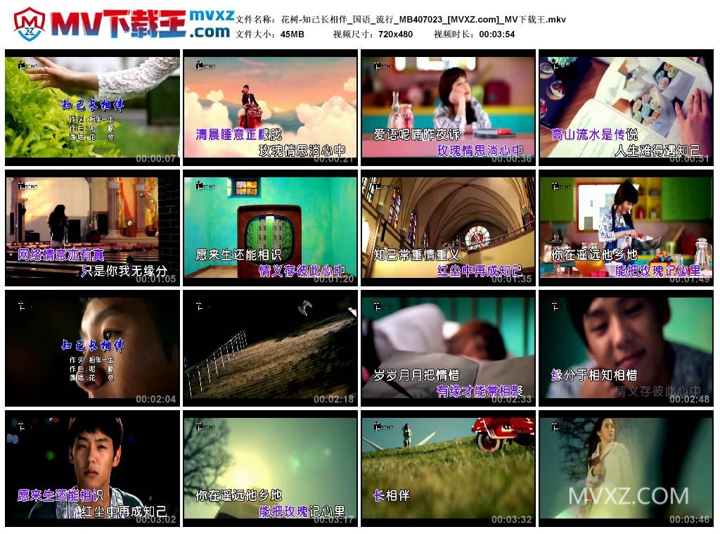 花树-知己长相伴_国语_流行_MB407023